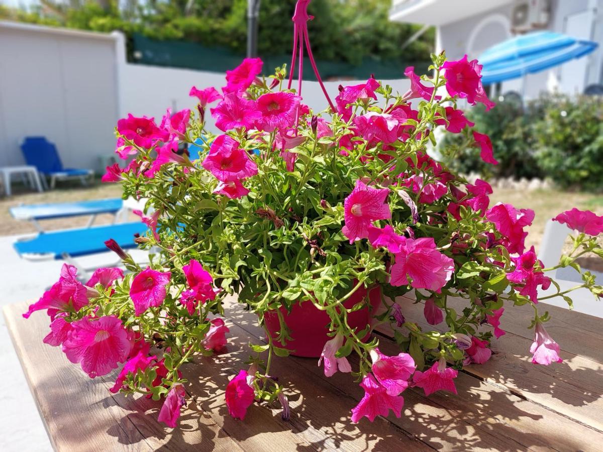 Leta Apartments Agios Georgios  ภายนอก รูปภาพ