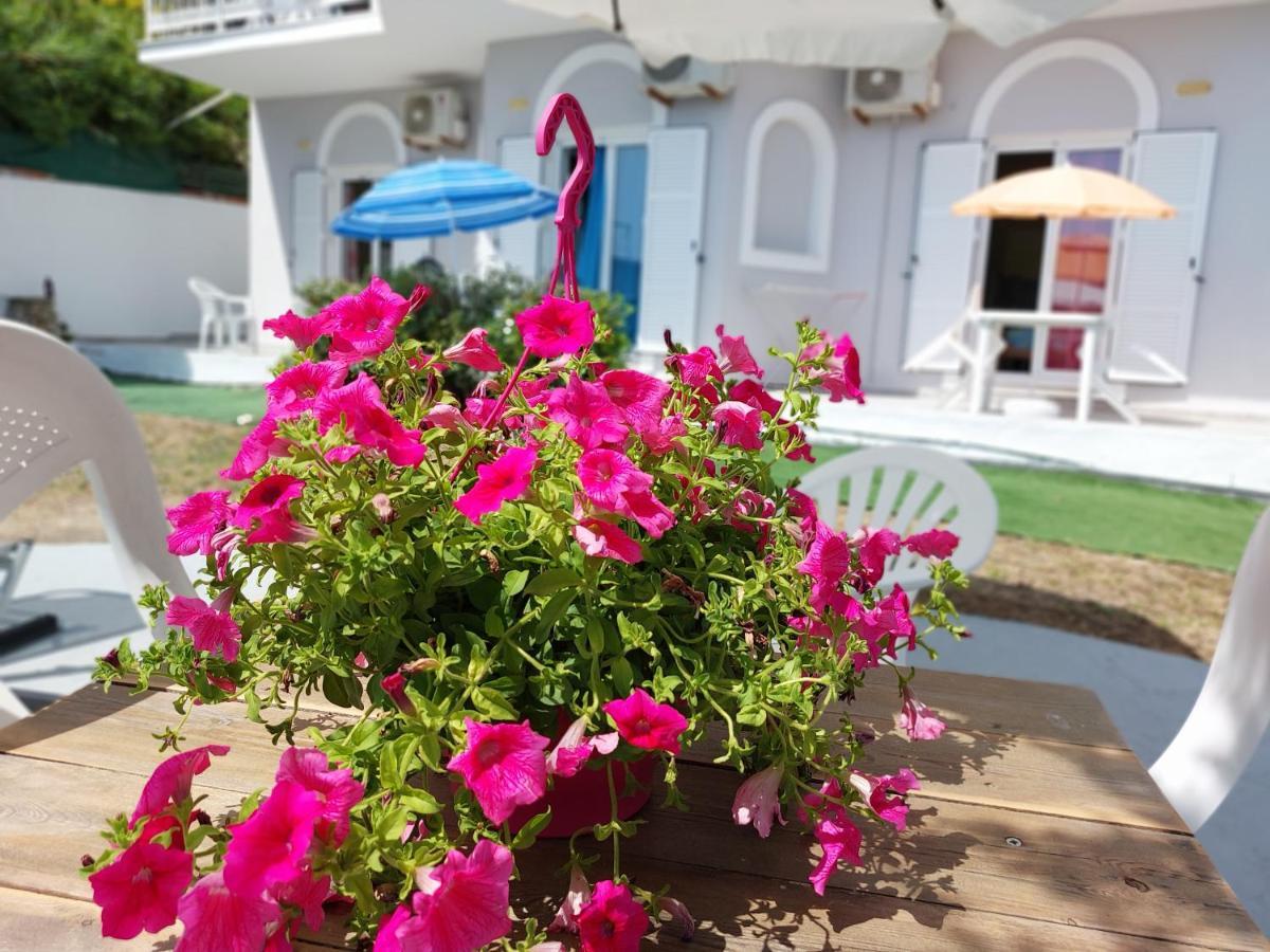 Leta Apartments Agios Georgios  ภายนอก รูปภาพ